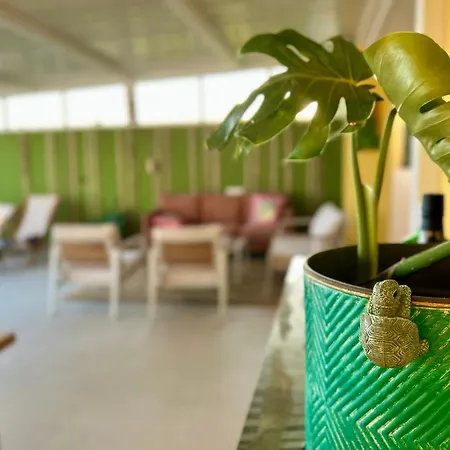 度假居 Bamboo Star House *