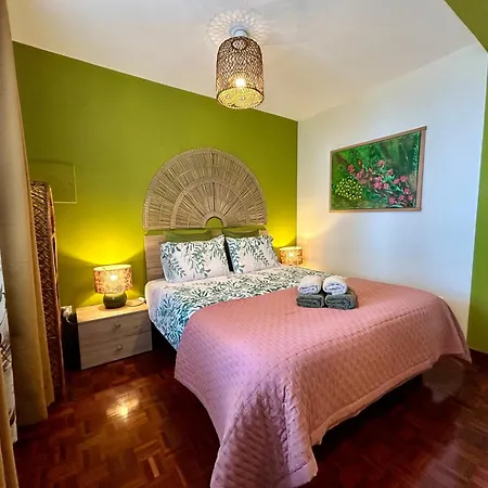 Bamboo Star House 里贝拉布拉瓦