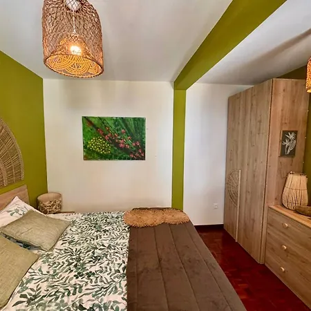 Bamboo Star House *